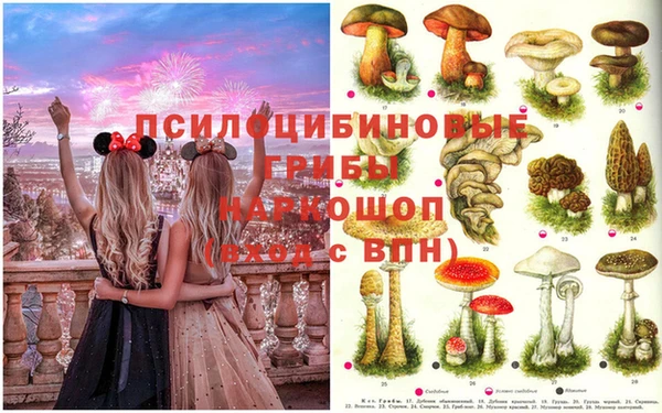 mdma Болхов