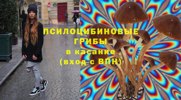 гашик Нефтегорск