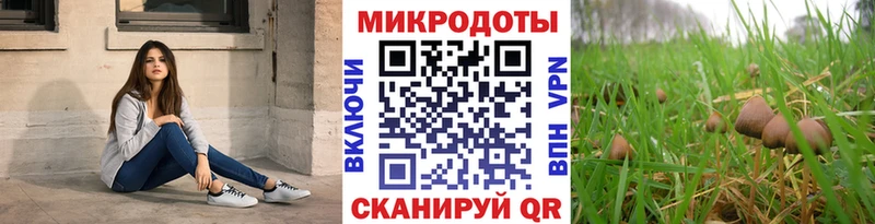 Галлюциногенные грибы MAGIC MUSHROOMS Шарья